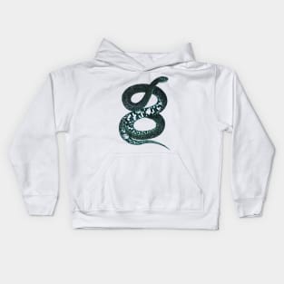 serpent,cobra,reptile,viper,venom,lizard,rattlesnake,king cobra Kids Hoodie